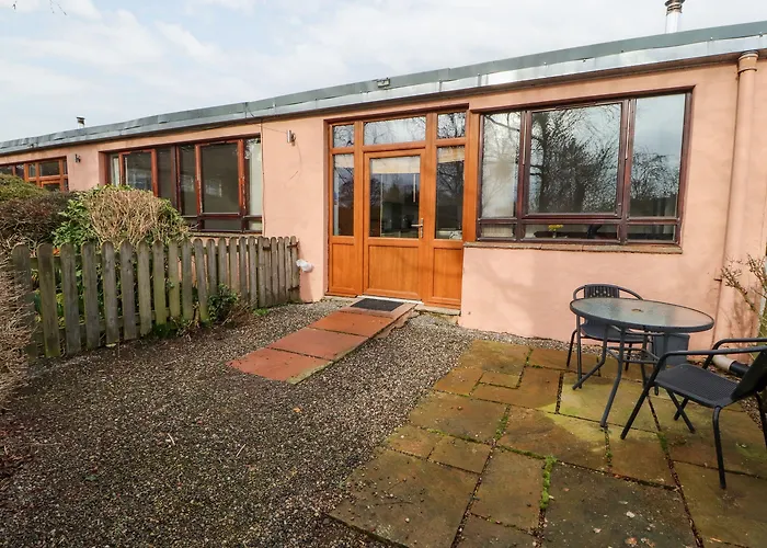 بيت للعطل Nuthatch *